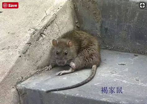 1562568516654659.png image.png