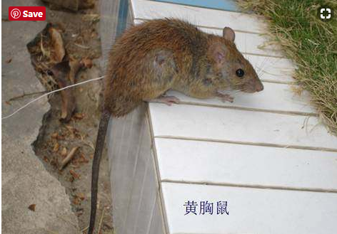 1562568531472925.png image.png