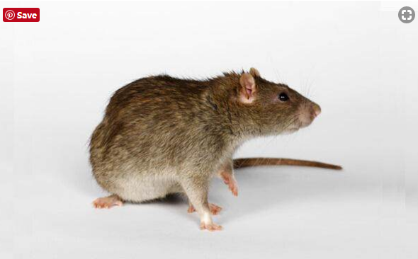 1562568547977786.png image.png