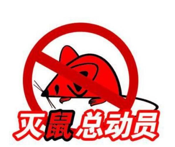 滅鼠方法 滅鼠方法