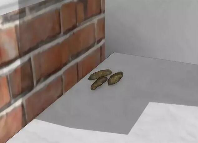 老鼠藥批發(fā) 老鼠藥批發(fā)