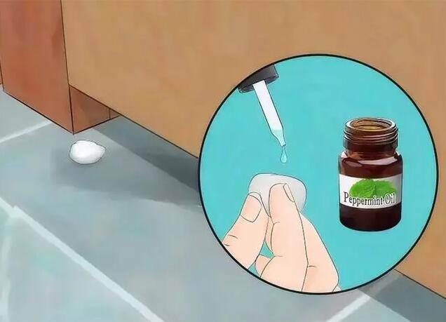 老鼠藥廠(chǎng)家 老鼠藥廠(chǎng)家