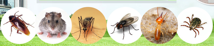 滅老鼠藥 滅老鼠藥