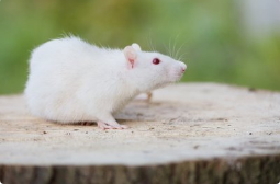 1626663086306376.png image.png