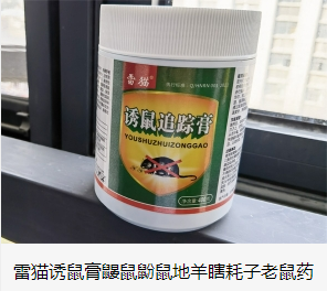 老鼠藥廠(chǎng)家 老鼠藥廠(chǎng)家