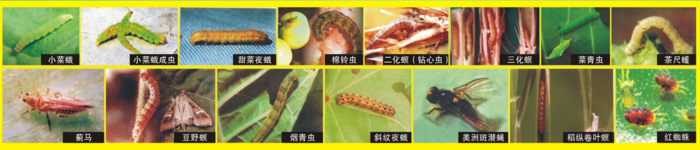 1662363035564100.png 甲維鹽防治對象.png