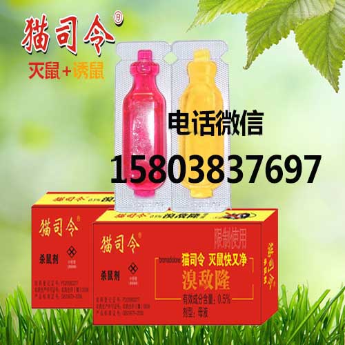 貓司令.jpg 貓司令.jpg