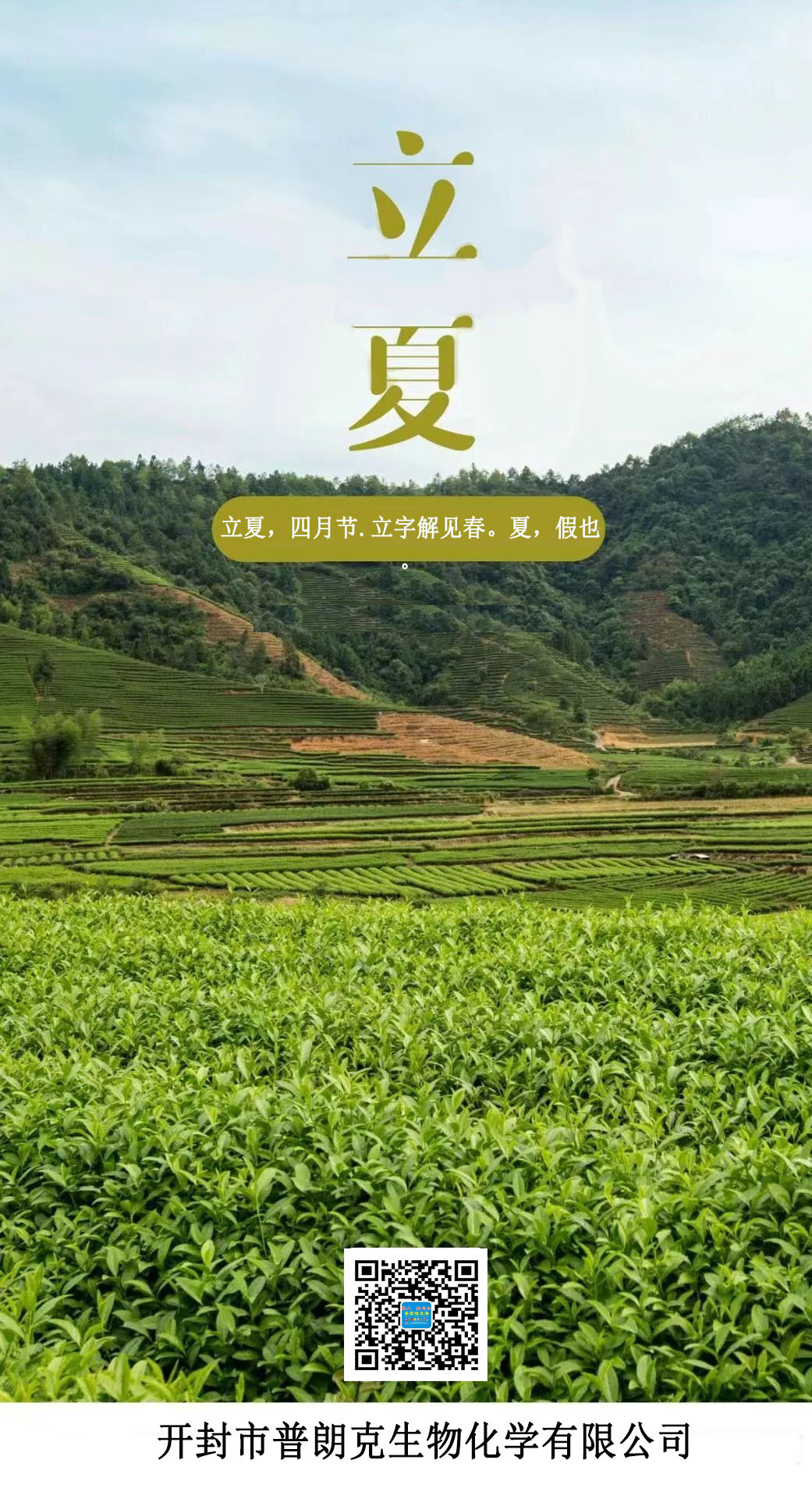 立夏，病蟲(chóng)害防治關(guān)鍵期你知道多少？