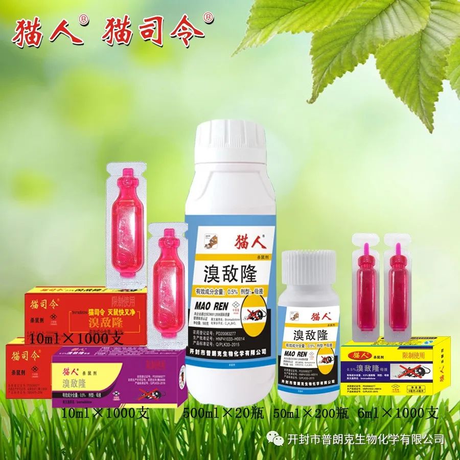 1692148815142496.jpg 640.jpg